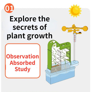 COO11 Combo Plant Growing Set- Stem Weather Station Water Table & Plant Tree Kids Fun Game Toys, Outdoor Garden Toy Encourages Creative Play, Safe & Portable Kids Table for Girls & Boys 8+ Years